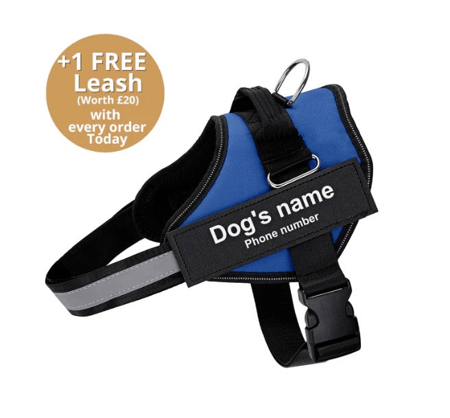 Harnais pour Chien Personnalisé Sans Tirage KAYSI™ Ultime