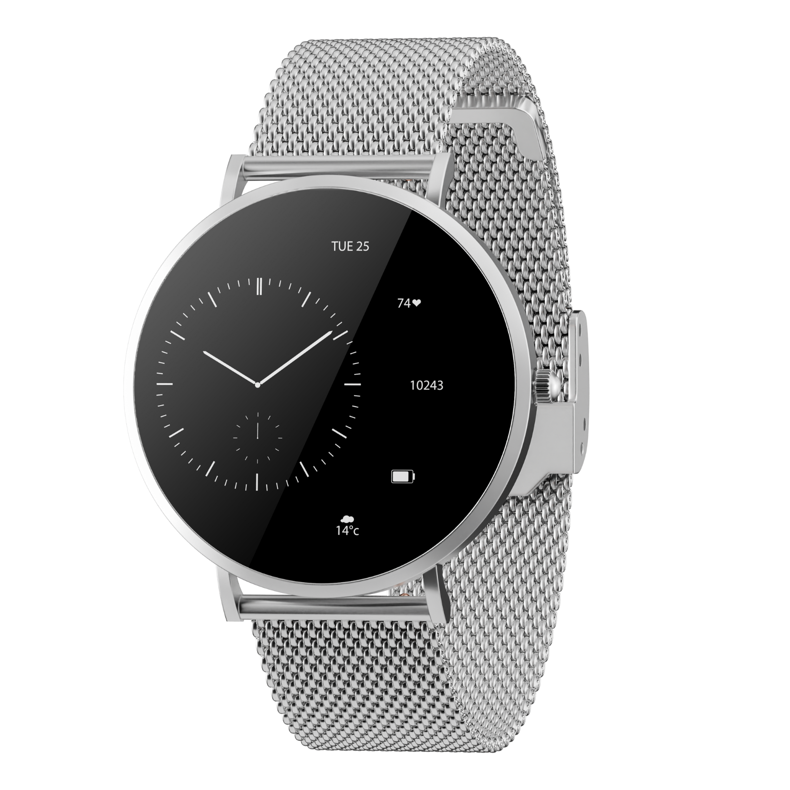 SCHNEIDERWATCH - Venice Pro (Secret Sale)