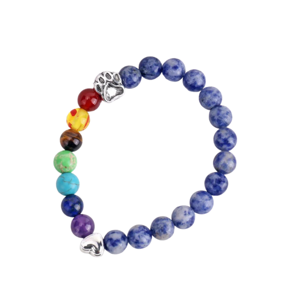 LUMIN – Bracelet commémoratif de la passerelle arc-en-ciel avec 7 perles de chakra