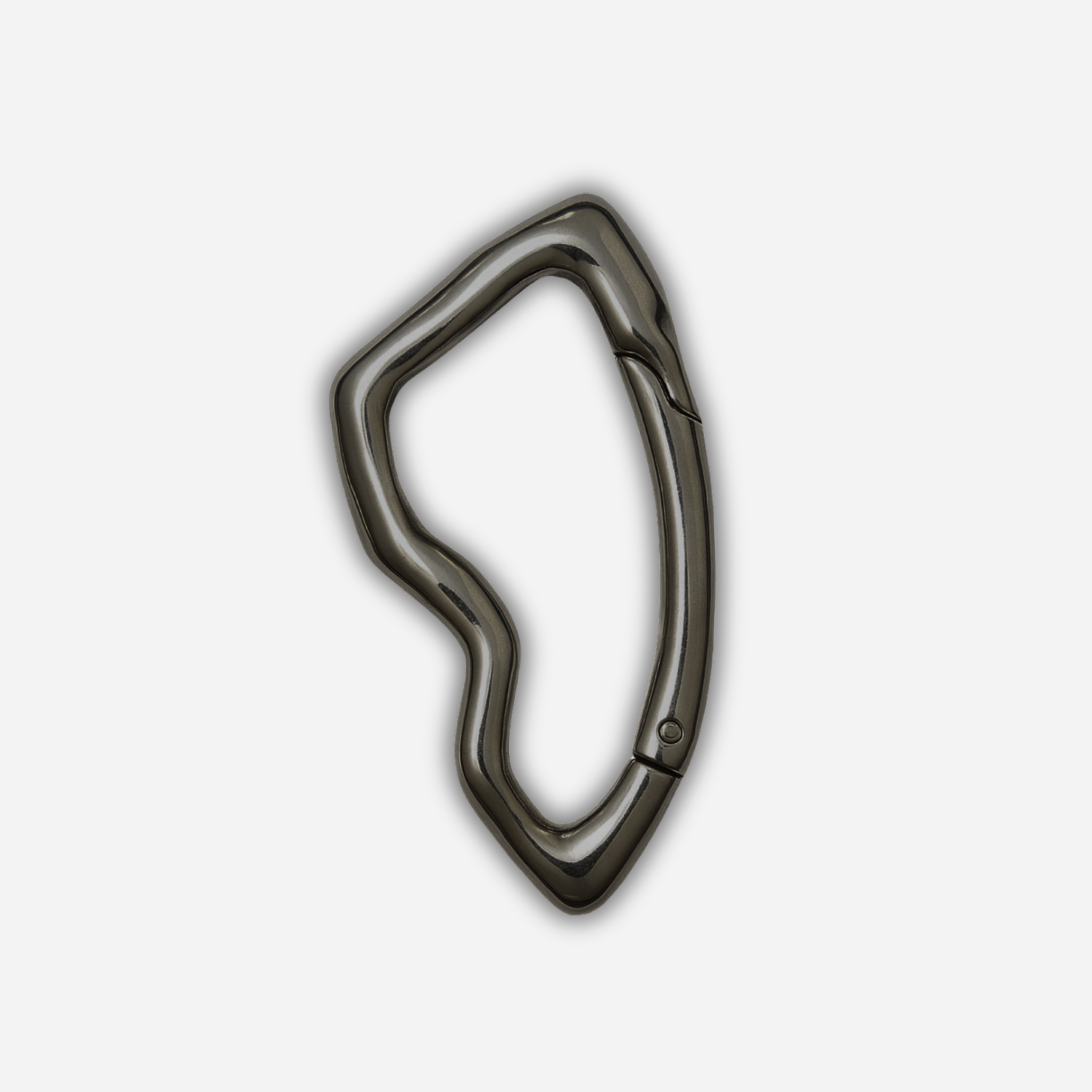 PORTE-CLÉS AVEC CARABINER